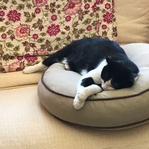 Meet your Posher, Christopher